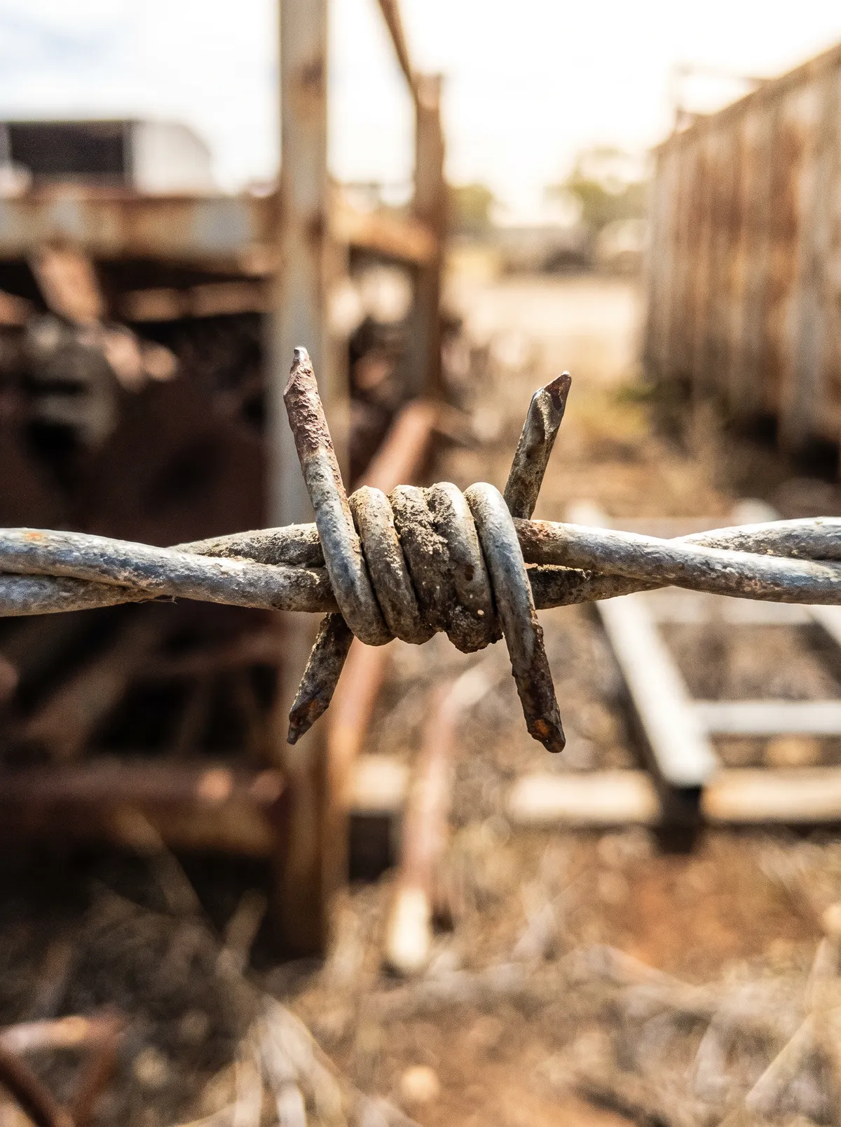 Close-up of a barbed-wire barb on a galvanised strand