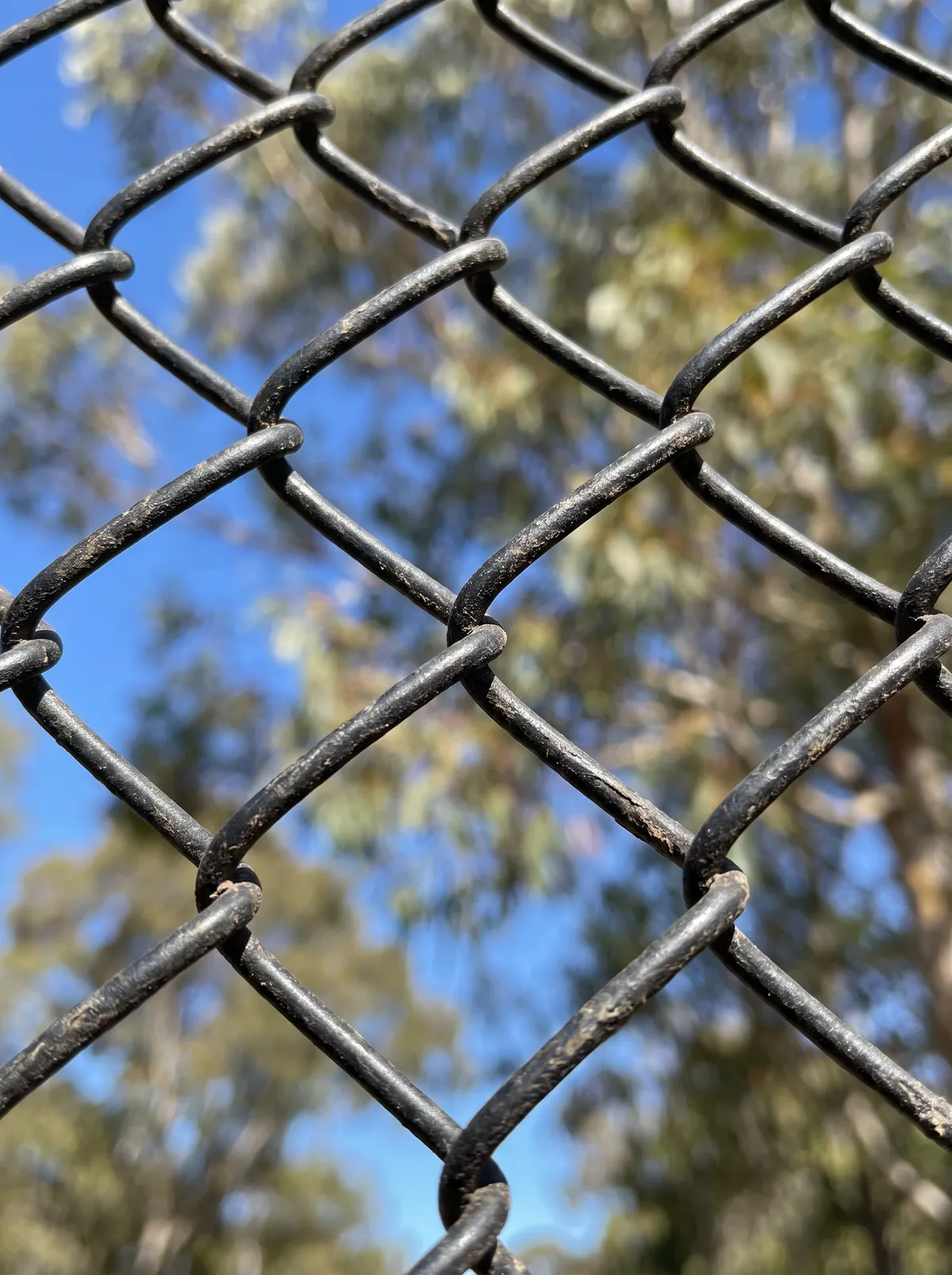 Close-up of black PVC-coated chain wire mesh