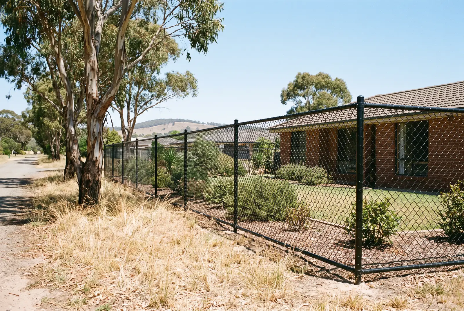 Black PVC-coated chain wire fence around a home