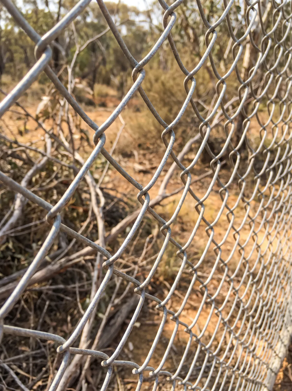 Close-up of galvanised chainwire diamond mesh